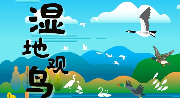 【獨立觀鳥一日營】走進白馬湖濕地，一起來探尋鳥兒的秘密